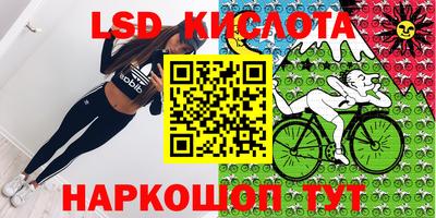 спиды Бийск