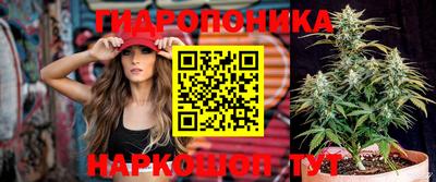 спиды Бийск