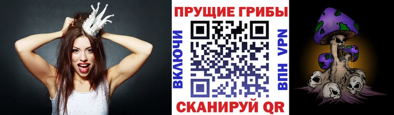 Галлюциногенные грибы прущие грибы  хочу   Ивантеевка 