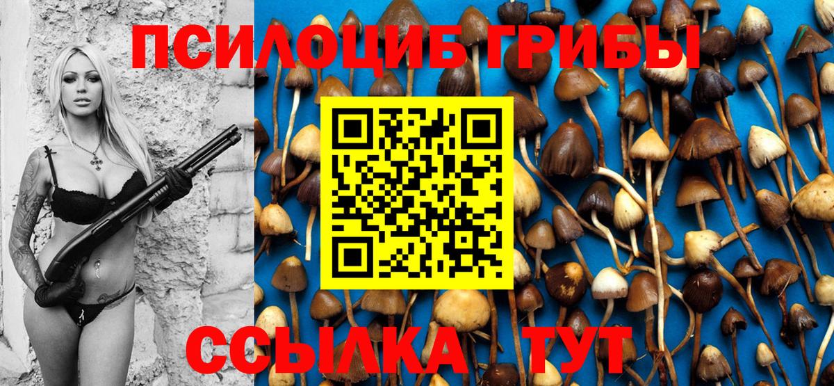 Галлюциногенные грибы Psilocybe Ивантеевка