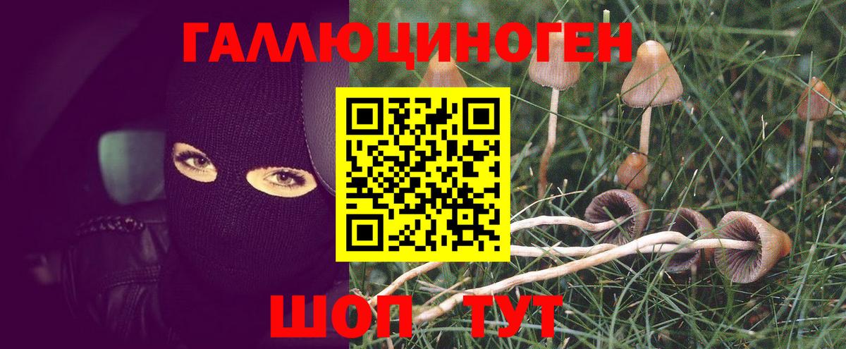 Галлюциногенные грибы GOLDEN TEACHER Ивантеевка