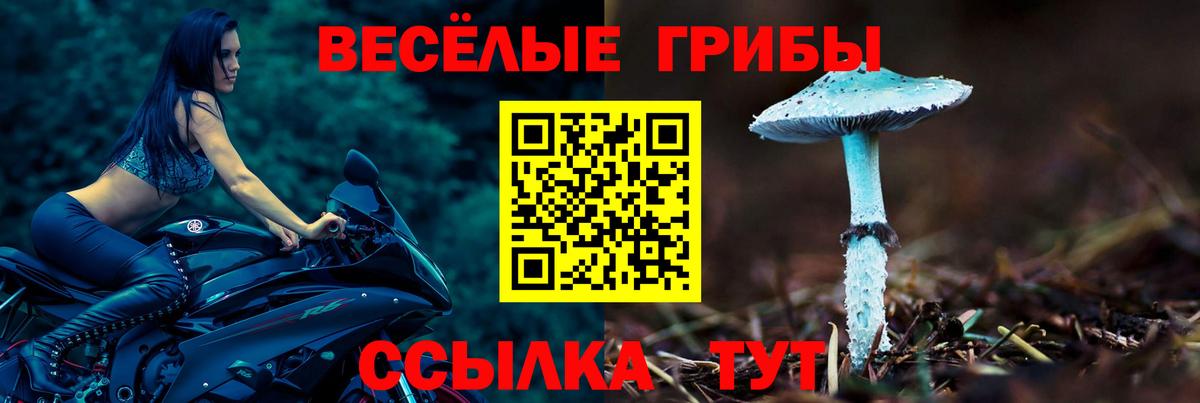 Галлюциногенные грибы мухоморы  где найти наркотики  Ивантеевка  Вход с VPN 