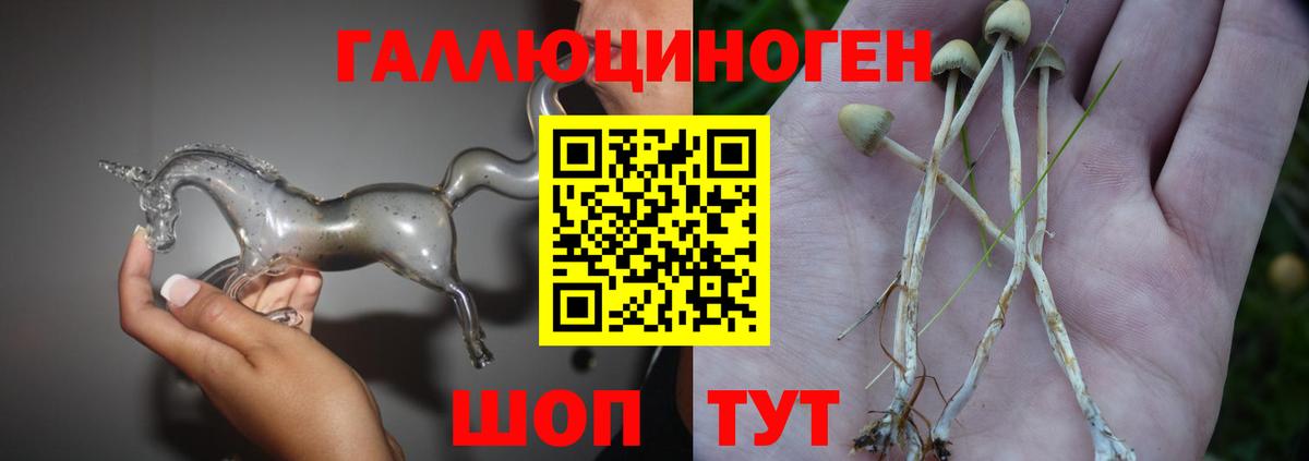 Псилоцибиновые грибы MAGIC MUSHROOMS  закладка  Ивантеевка 